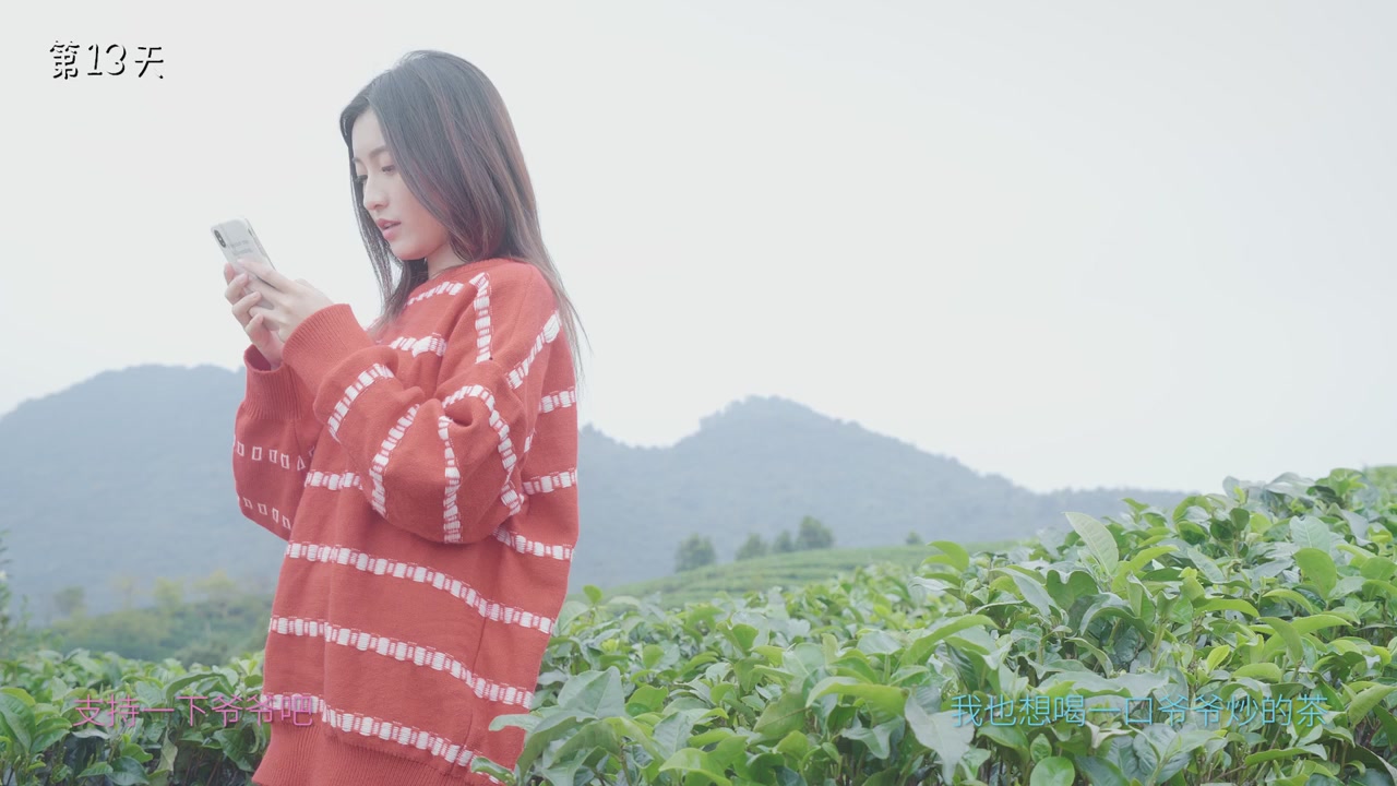 网络直播播前规范