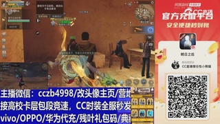永久cc秒发，改头像主页，加v