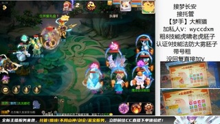 接大海龟活动最后俩天