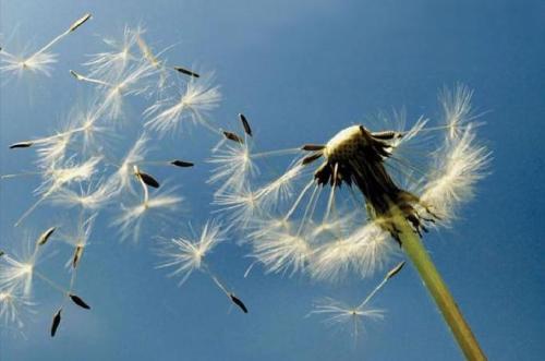 诺宝就让喧嚣随风而去