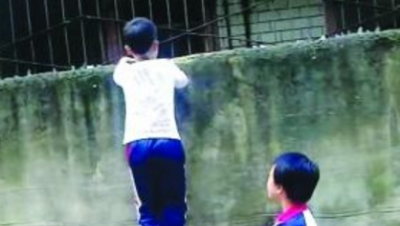 浪神战队：整队友我是认真的