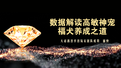 数据解读高敏神宠——福犬养成之道