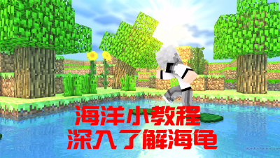 海洋版小教程-深入了解海龟