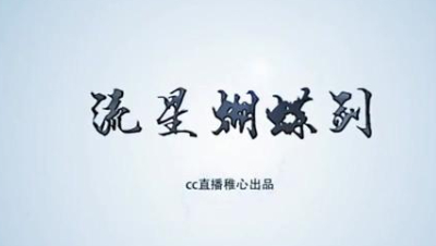 流星蝴蝶剑团队决战湖心岛