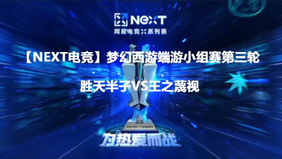 【NEXT电竞】梦幻西游端游第三轮胜天半子VS王之蔑视