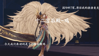 十二宫后殿鸡视频语音解析