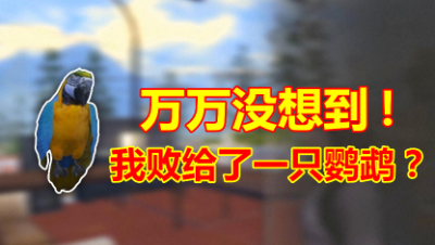 明日之后等你回家：没想到我输给了一只鹦鹉！太真实了！