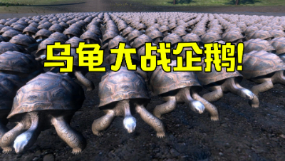 1000只乌龟打得过1000只企鹅吗？最后的结局真的太意外了！