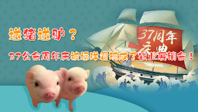 37公会周年庆，远洋君竟然送猪送驴？
