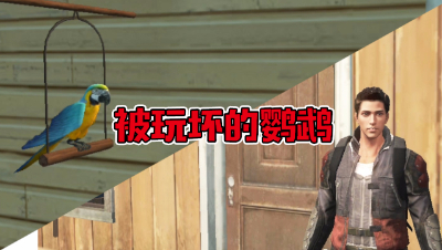 被玩坏的鹦鹉（水印版）