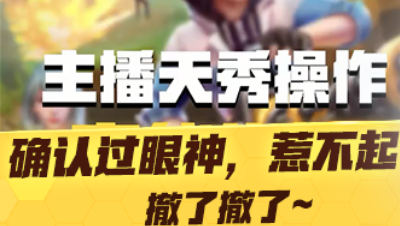【网易大神破创攻略站】确认过眼神，是惹不起的人，撤了撤了~