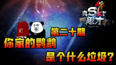 【真Skr鬼才】你家的鹦鹉是个什么垃圾？第二十期