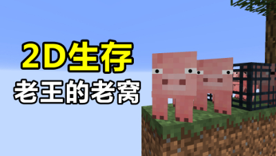 我的世界2D生存2：猜猜我发现了什么？老王的老窝出现了！