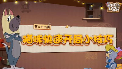 小不点口袋书23：猫咪快速开局小技巧