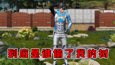 到底是谁偷了我的树（修改）