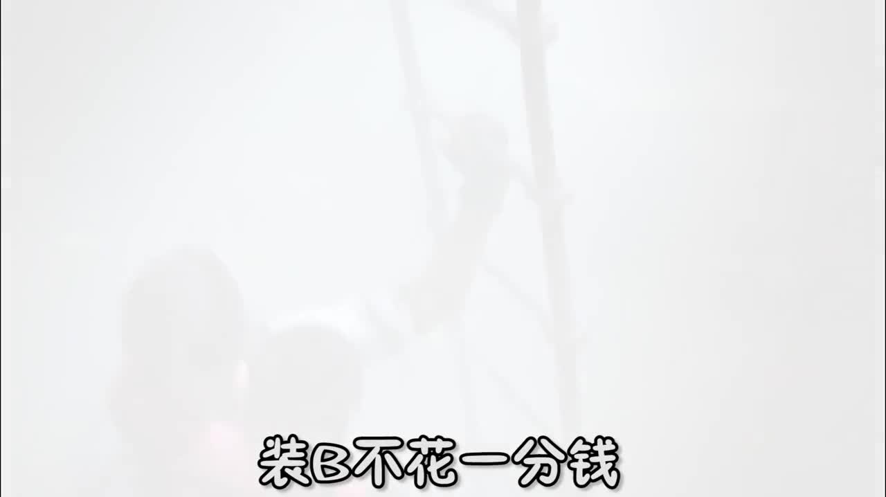 明日 引导