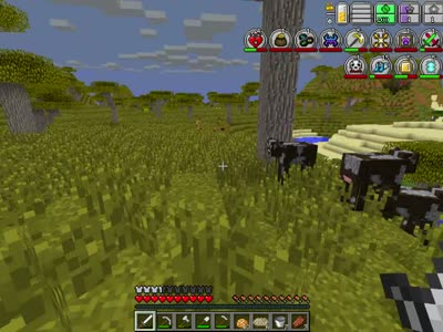 【虚无世界】生存-稀有资源？