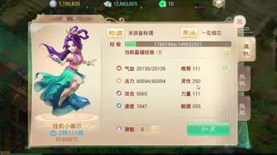 【大话C视频】超详细剖析讲解女仙职业定位及培养