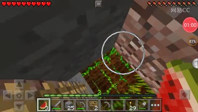 新手拍视频，多关照啊^o^  