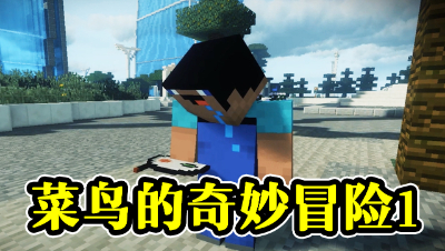 菜鸟的奇妙冒险1，慌张的菜鸟到底丢了什么？