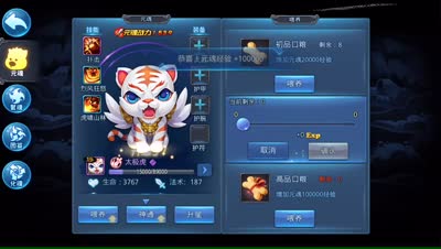 紫乐解说：新元混太极虎出战