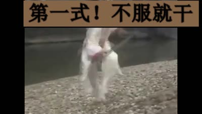 绿帽子小白龙对战教父诸葛解析
