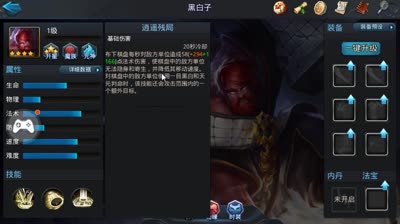 黑白子测试
