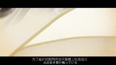 【小臣阴阳师】天地人鬼-新游阴阳师评测