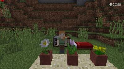 【我的世界一分钟】物品展示框的获取与用途