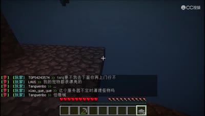 【马仔】空岛生存 P2