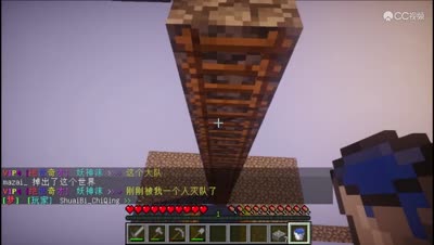 【马仔】空岛生存 P6