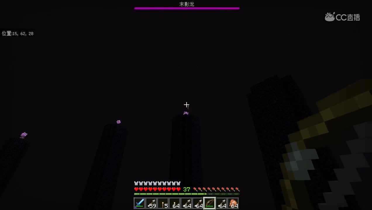 暑期乐园实况生存完结——感谢大家的支持