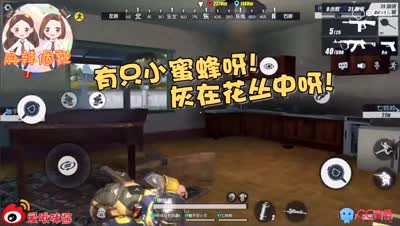 圈子精彩视频
