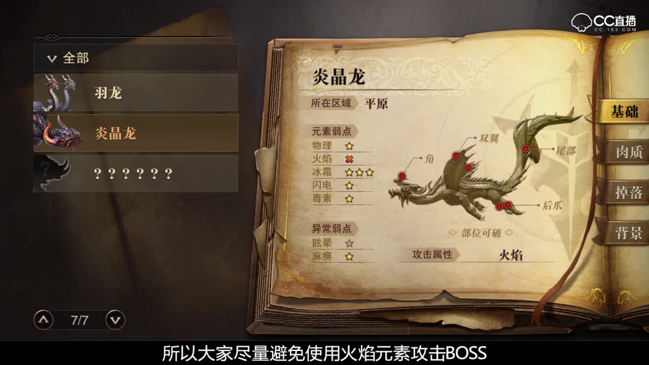 炎晶龙（大熊解说）