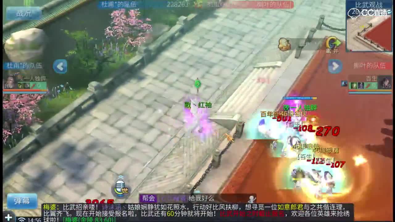 第五届明星表演赛神勇组
