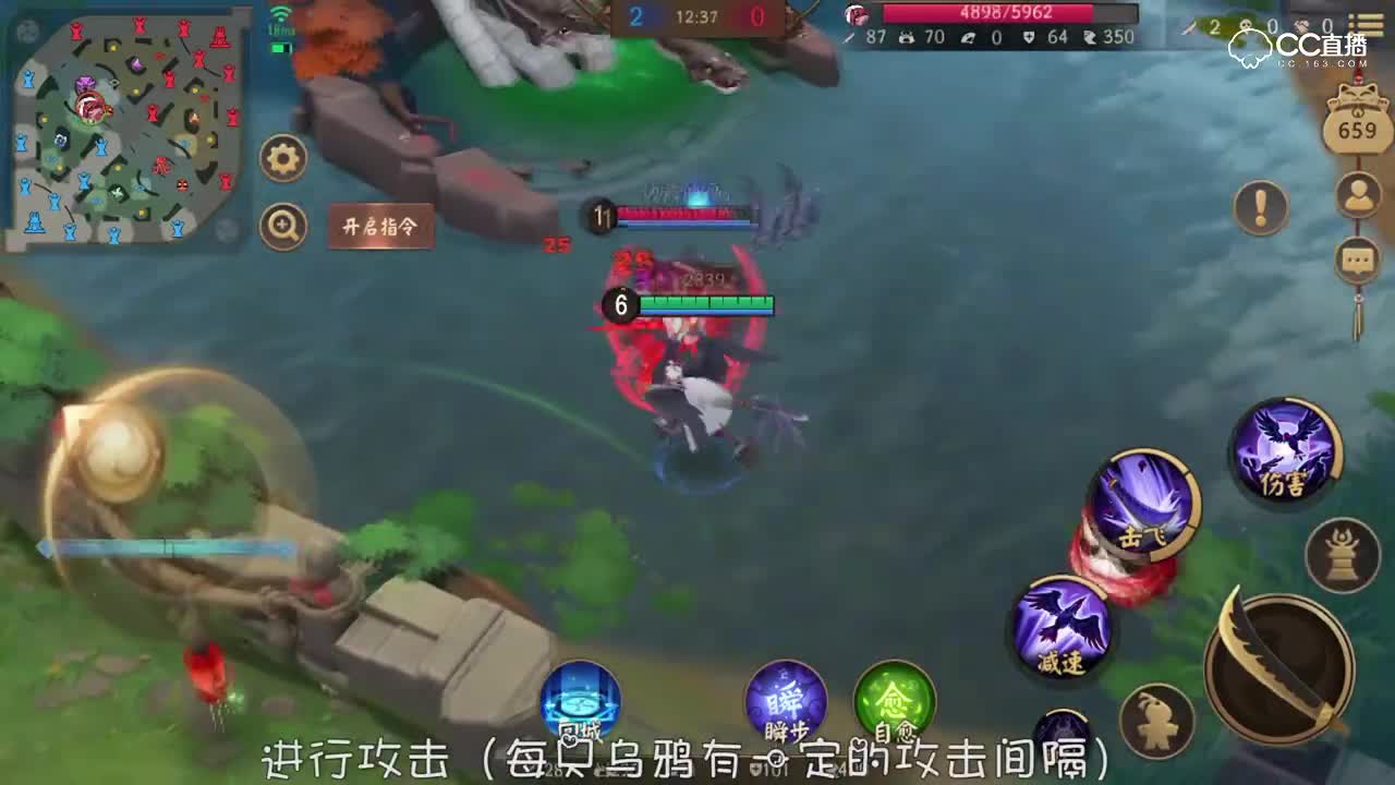 鸦天狗-群鸦乱舞