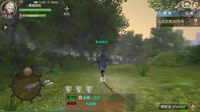 大航海之路-灰头爱情鸟（捕捉）