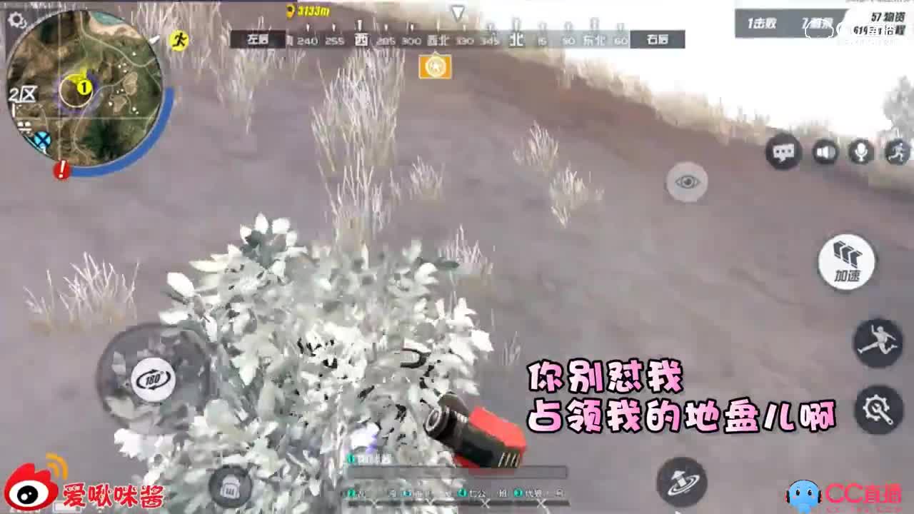 【啾咪酱】啾咪酱的日常坑第四十五期