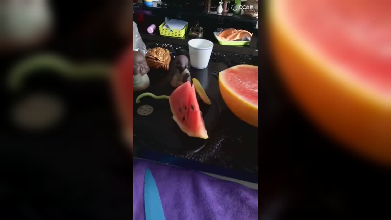 圈子精彩视频