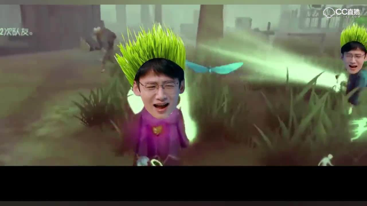圈子精彩视频