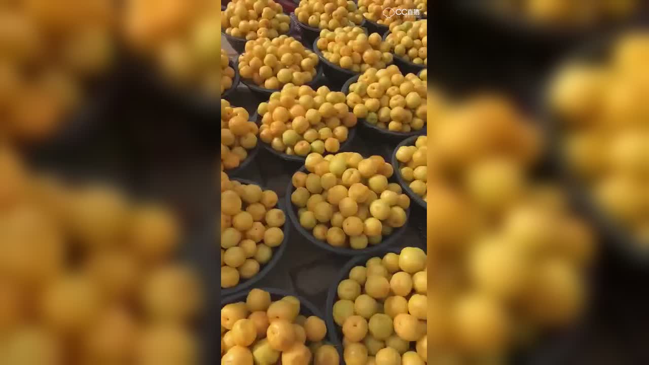 圈子精彩视频