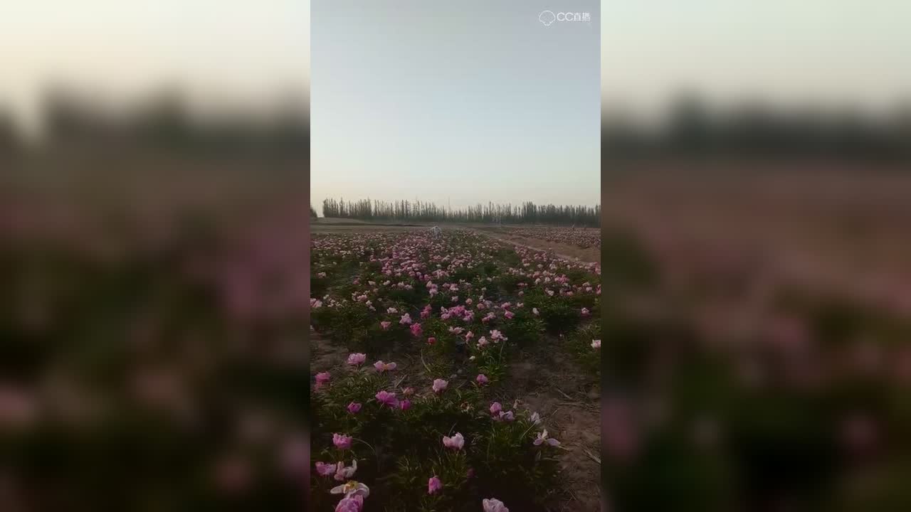 圈子精彩视频