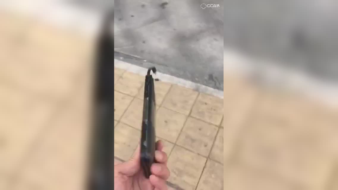 圈子精彩视频