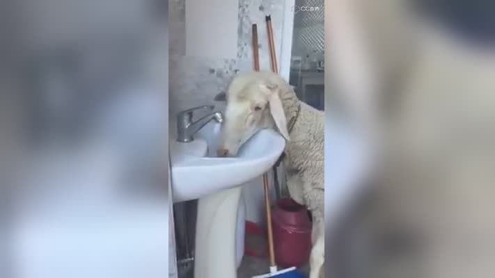 圈子精彩视频