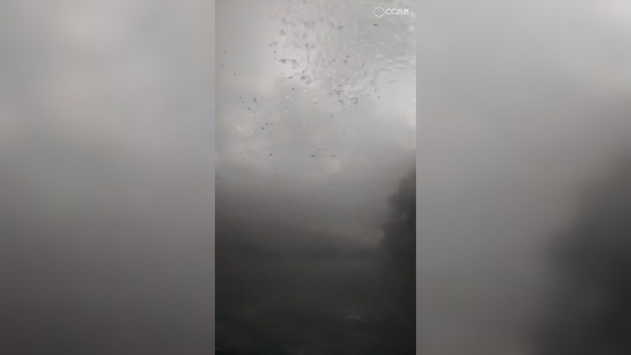 圈子精彩视频