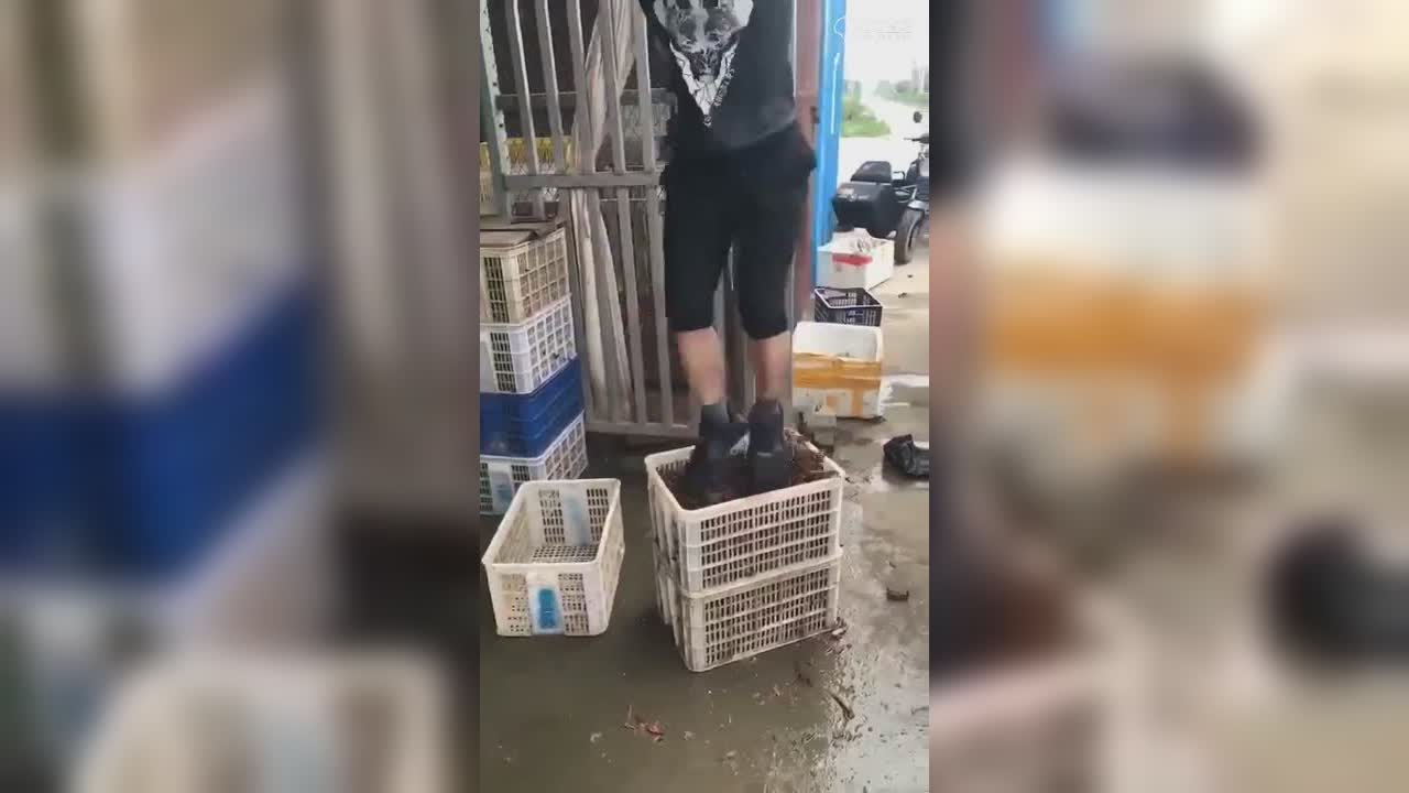 圈子精彩视频