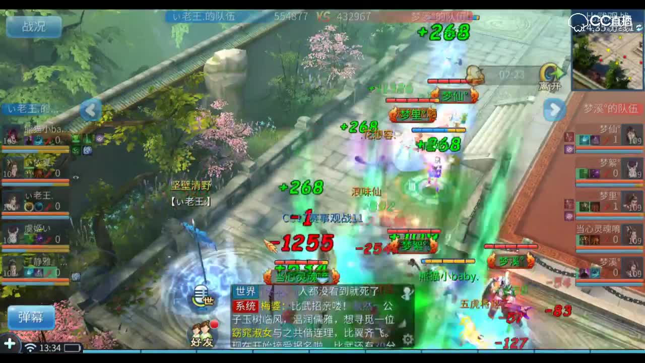 明星赛第六季-神勇组-老王VS梦溪