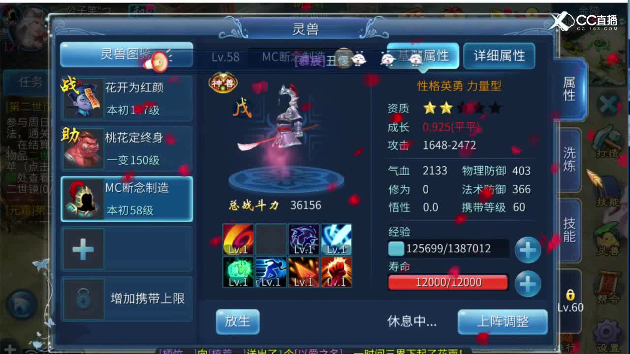 开宠物性格稳妥妥没毛病
