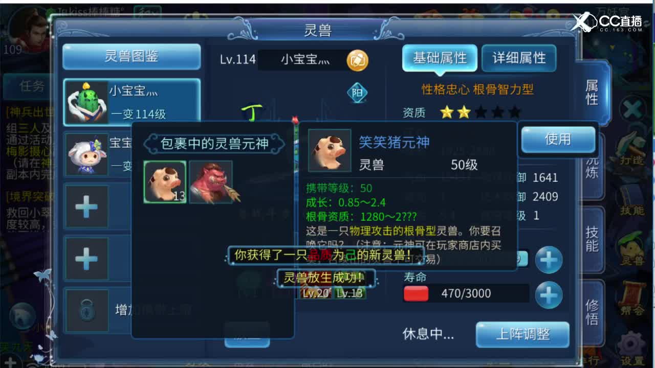开肥旋风宠物性格