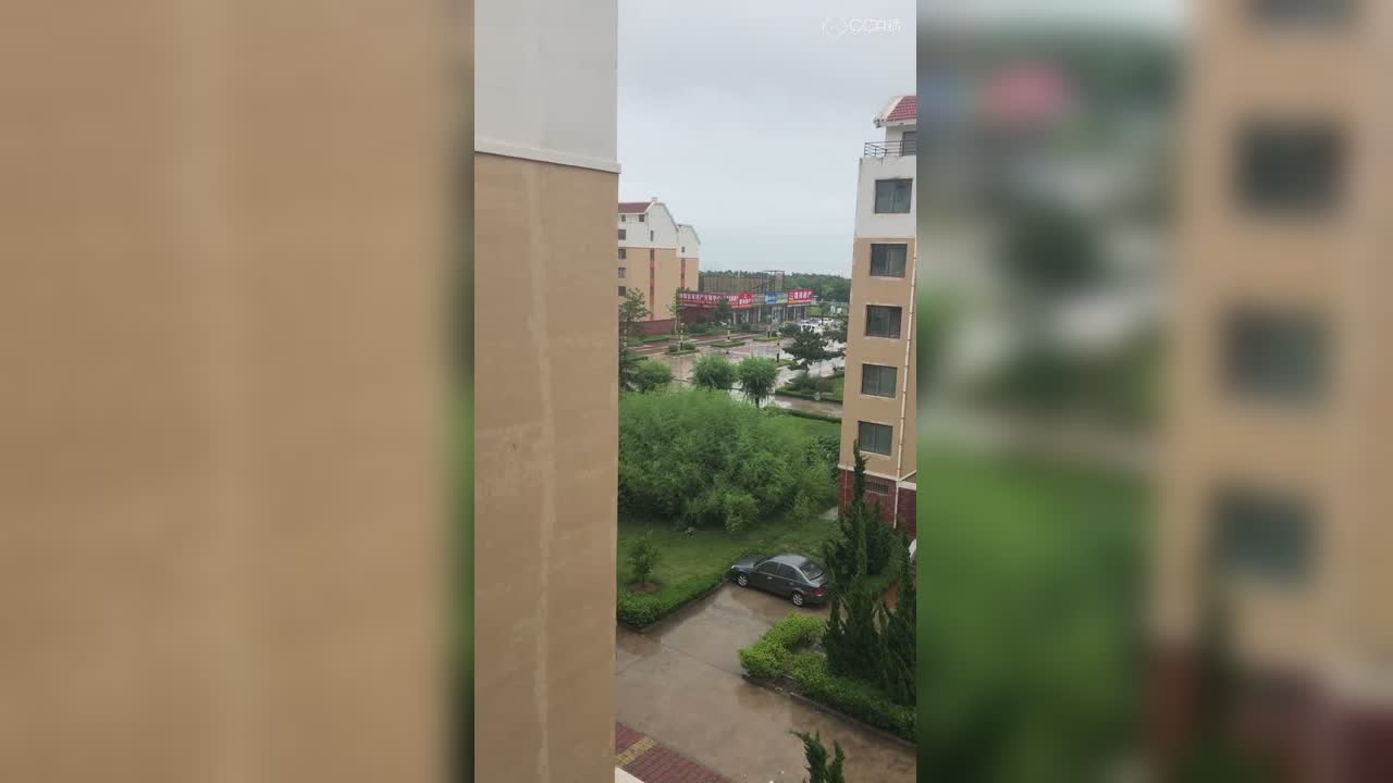 圈子精彩视频